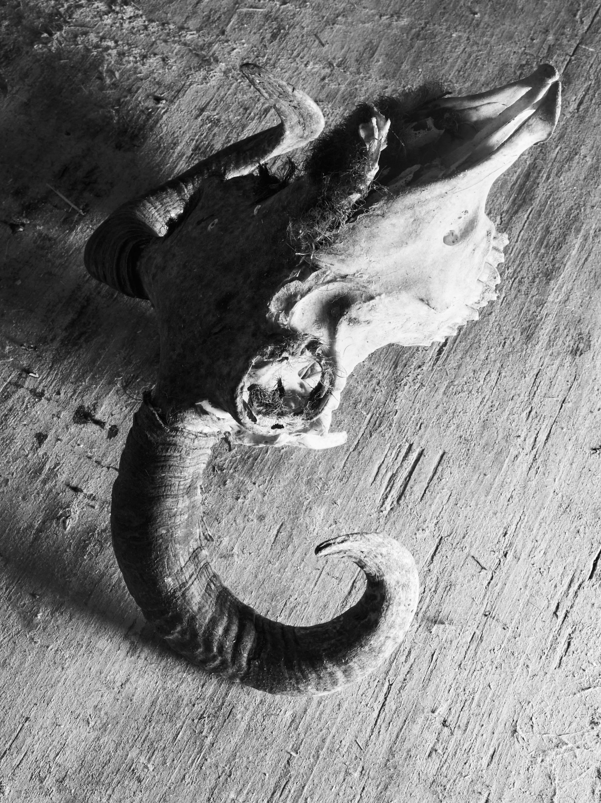 Paul Outerbridge1075